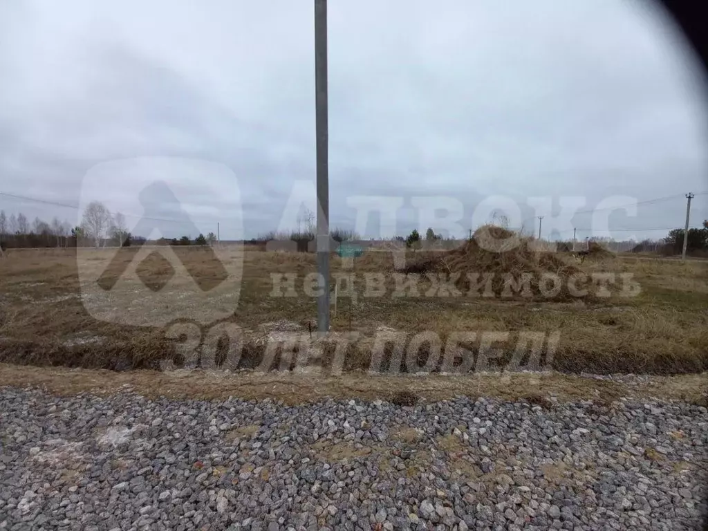 Участок в Тюменская область, Нижнетавдинский муниципальный округ, ... - Фото 2