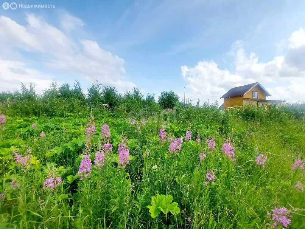 Участок в Республика Коми, муниципальный район Сыктывдинский, село ... - Фото 2