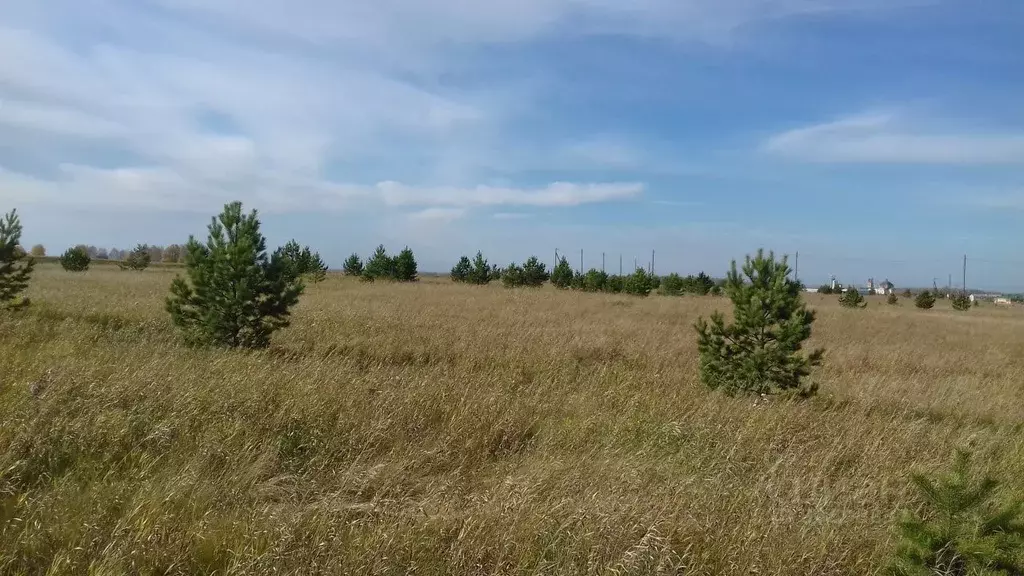 участок в свердловская область, каменский городской округ, с. . - Фото 1