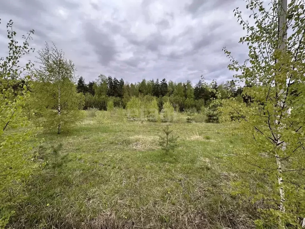 Участок в Владимирская область, Петушинский муниципальный округ, д. ... - Фото 2