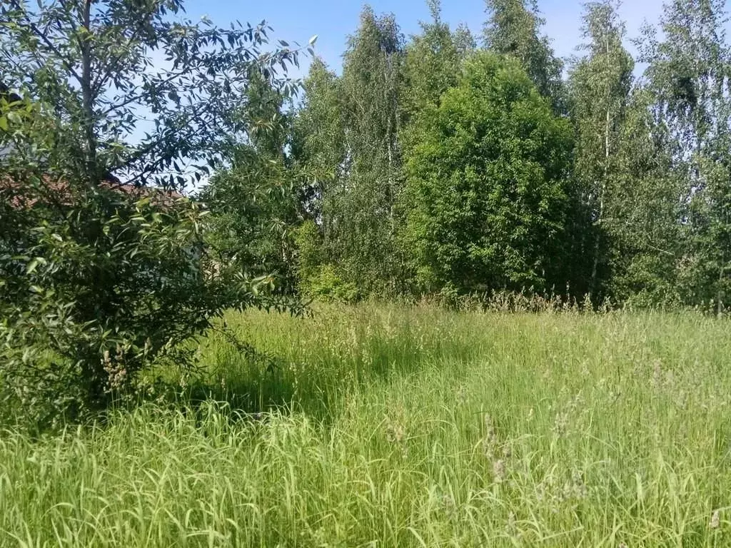 Участок в Московская область, Одинцовский городской округ, д. ... - Фото 1