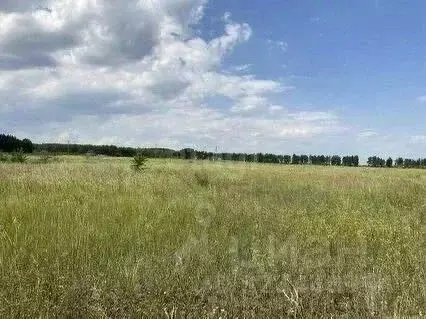 Участок в Ульяновская область, Чердаклинский район, Белоярское с/пос, ... - Фото 0