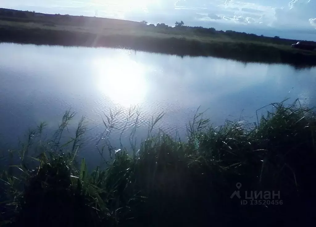 Участок в Ульяновская область, Майнский район, Игнатовское городское ... - Фото 0