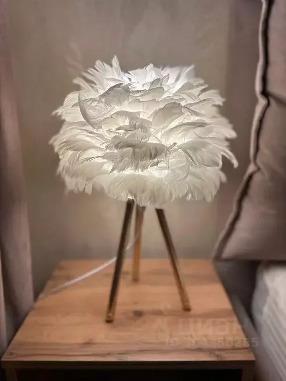 1-к кв. Липецкая область, Липецк ул. Имени Генерала Меркулова, 10А ... - Фото 2