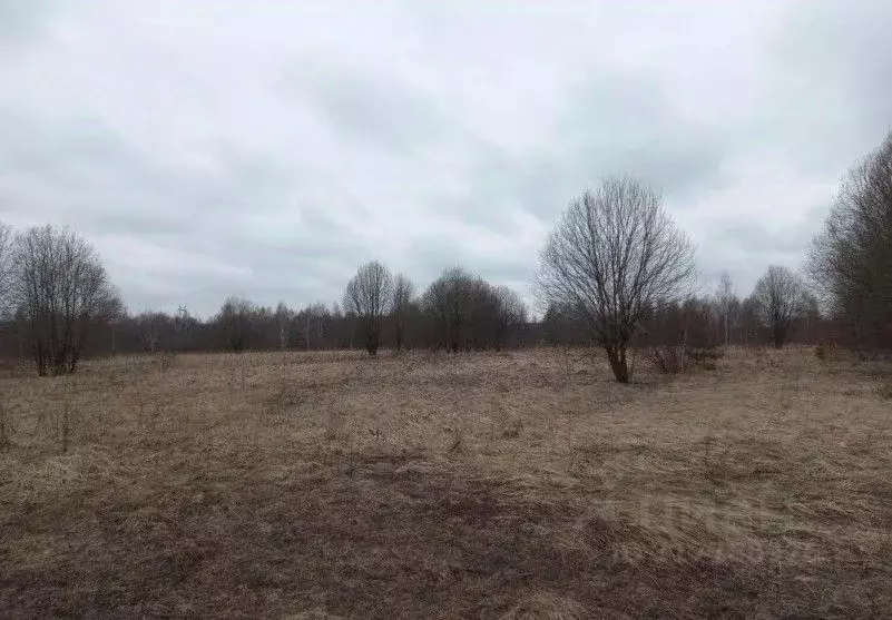 Участок в Московская область, Дмитровский муниципальный округ, д. ... - Фото 1