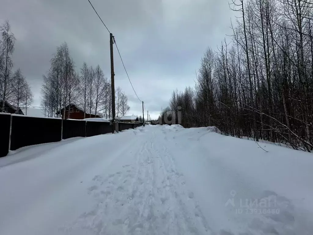 Участок в Пермский край, Добрянский городской округ, д. Залесная ул. ... - Фото 1