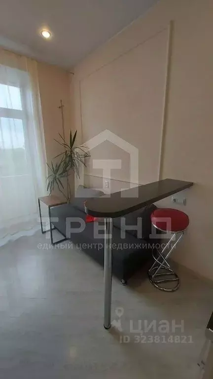 Студия Санкт-Петербург Московский просп., 186 (19.0 м) - Фото 2