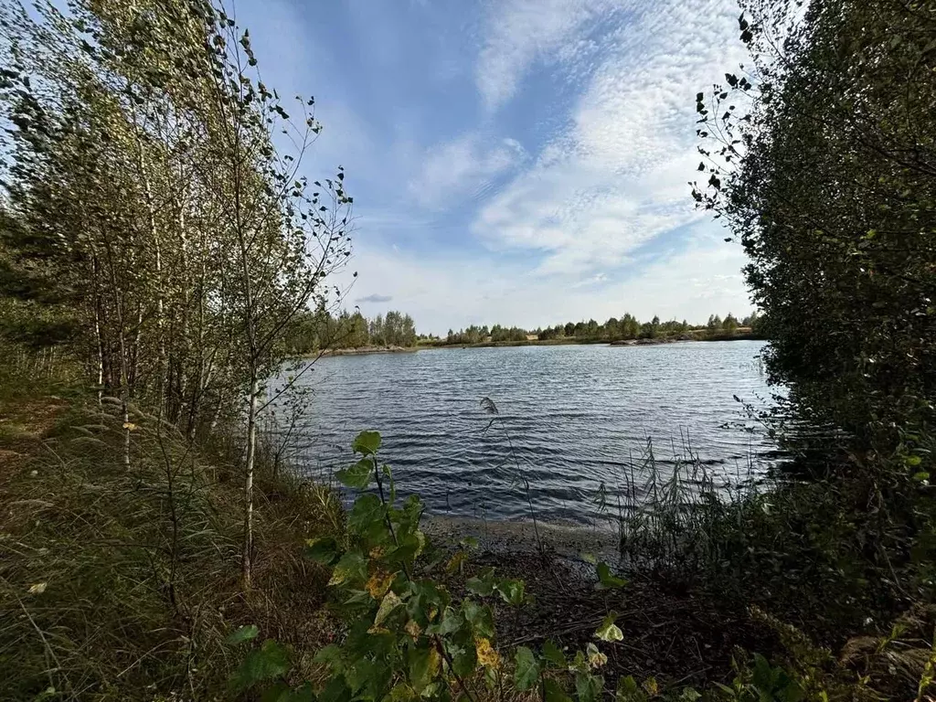 Участок в Московская область, Павлово-Посадский городской округ, д. ... - Фото 1