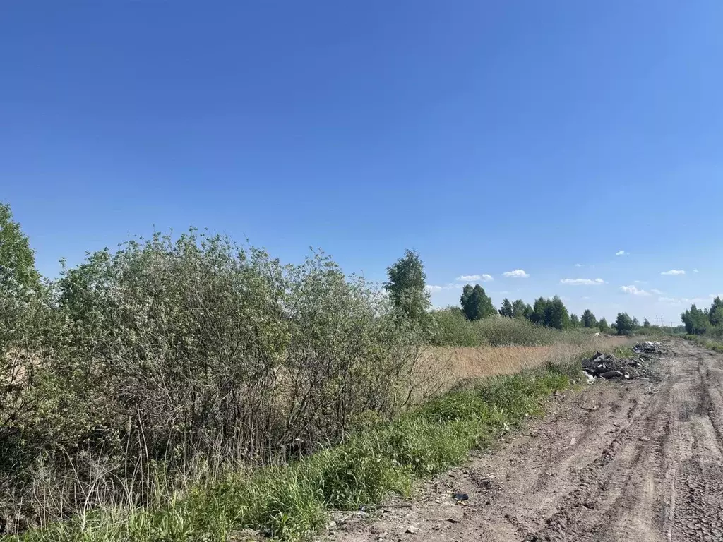 Участок в Тюменская область, Тюмень Поле Чудес садовое товарищество, ... - Фото 1