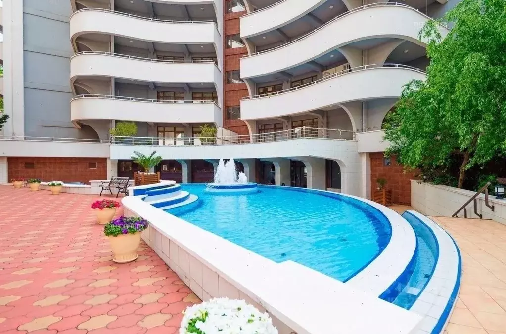 1-к кв. Краснодарский край, Сочи Светлана мкр, ул. Депутатская, 2 ... - Фото 2