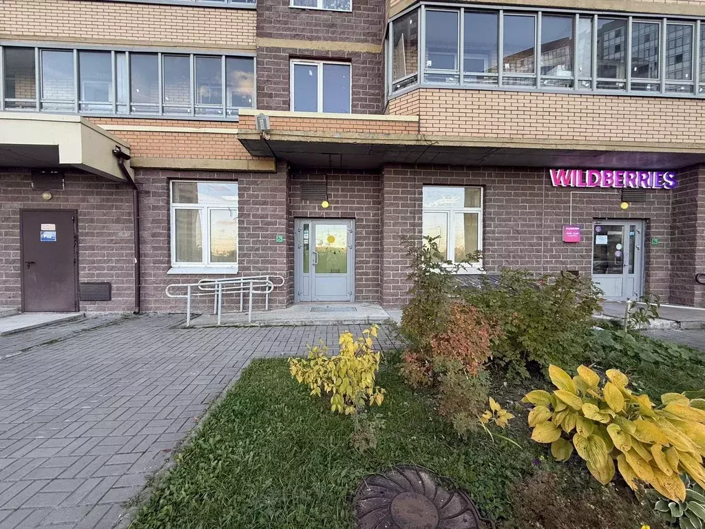 Помещение свободного назначения в Ленинградская область, Мурино ... - Фото 1