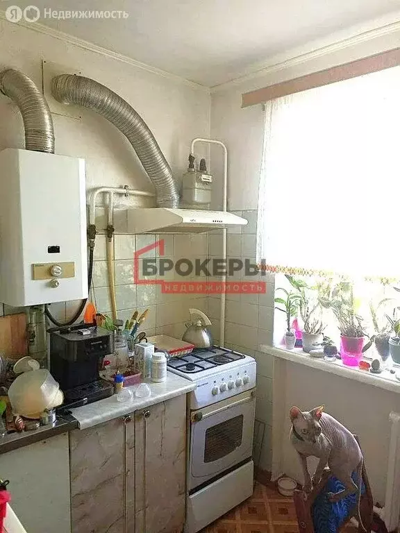 2-комнатная квартира: Севастополь, проспект Генерала Острякова, 7 ... - Фото 2