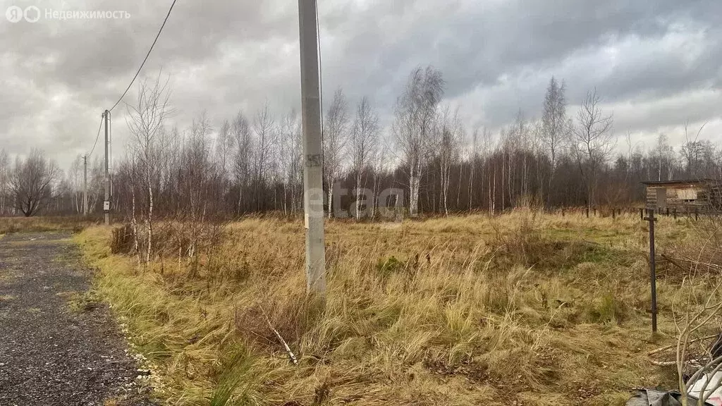 Участок в Московская область, городской округ Воскресенск, село ... - Фото 1