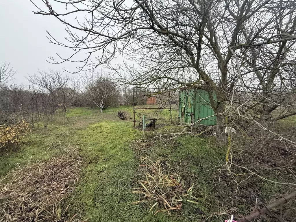 Участок в Ростовская область, Таганрог Дачное-3 садовое товарищество, ... - Фото 2