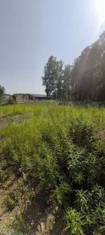 Участок 7,1 сот. (ИЖС) - Фото 0