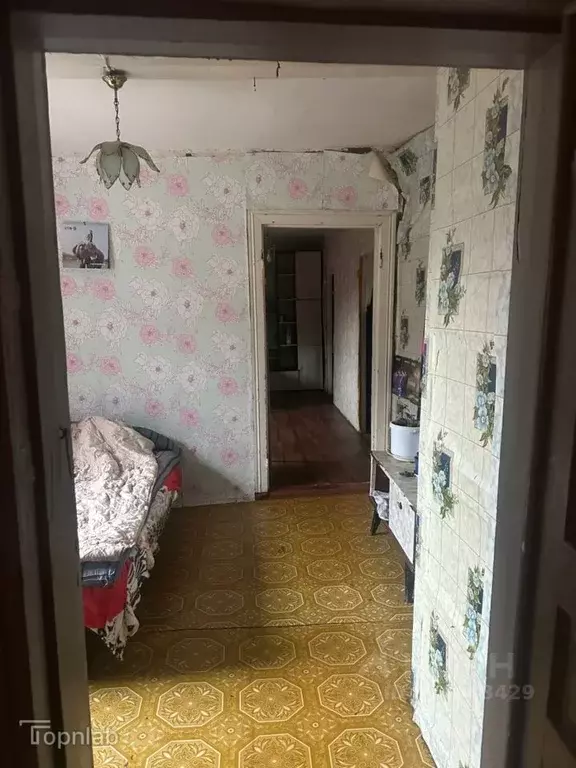 Дом в Тамбовская область, Жердевка Трудовая ул., 33 (49 м) - Фото 2