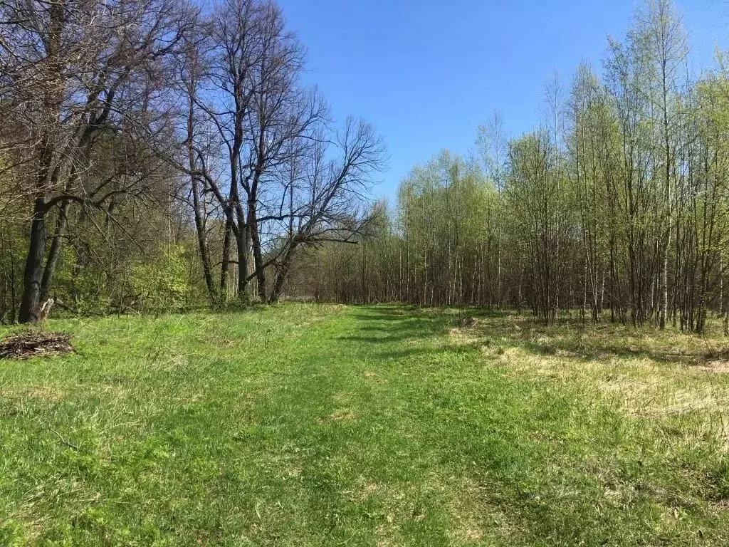Участок в Владимирская область, Судогодский район, пос. Муромцево ул. ... - Фото 0