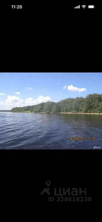 Участок в Вологодская область, Белозерский муниципальный округ, ... - Фото 2