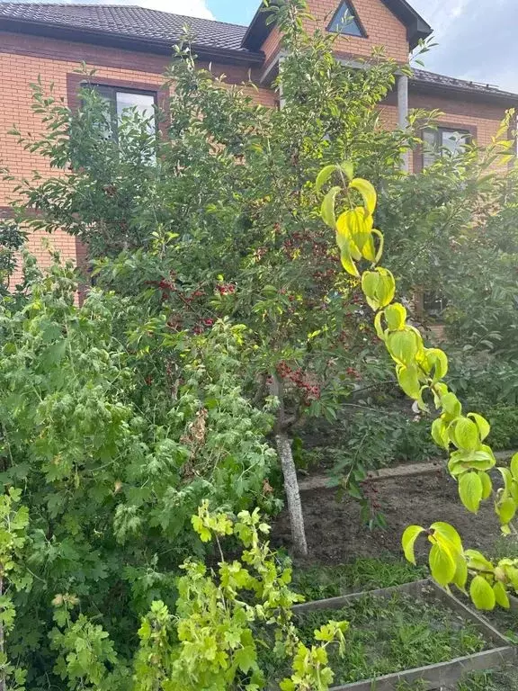 Дом в Дагестан, Махачкала туп. 4-й Энгельса, 8 (130 м) - Фото 1