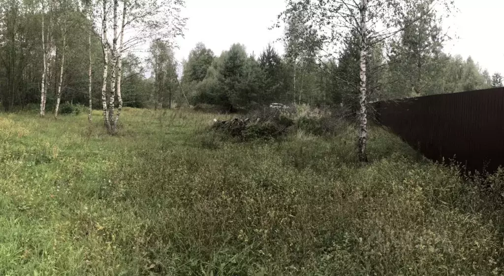 Участок в Владимирская область, Покров городской округ, пос. Городищи ... - Фото 1