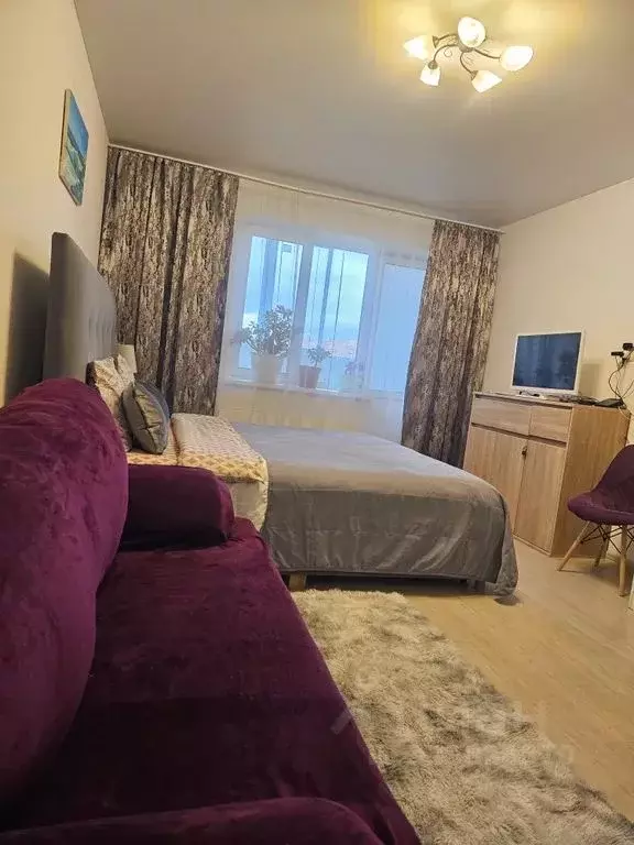 Студия Московская область, Ногинск Богородский городской округ, ул. ... - Фото 1