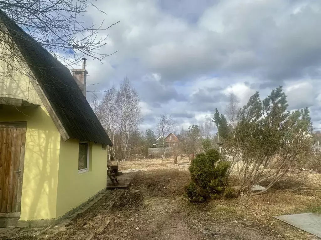 Участок в Ленинградская область, Всеволожский район, Агалатовское ... - Фото 1