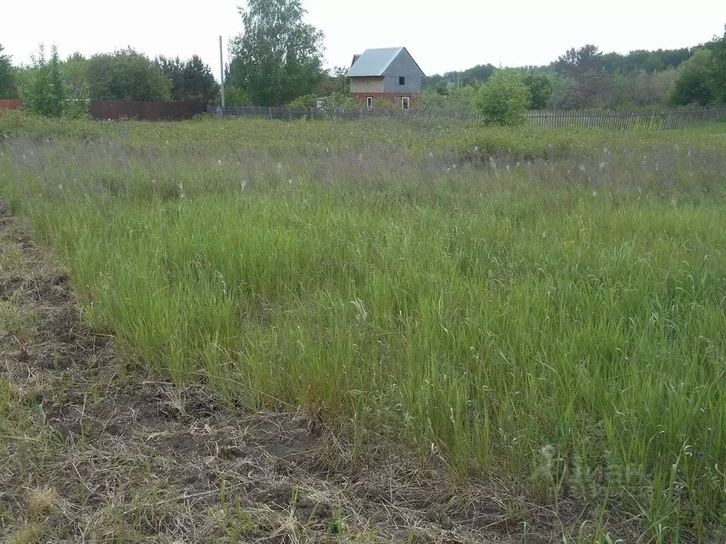 Участок в Омская область, Омский район, Надеждинское с/пос, Рябинушка ... - Фото 0