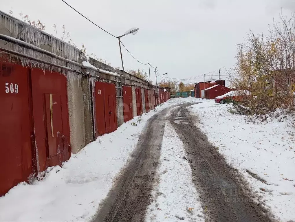 Гараж в Тюменская область, Тюмень Одесская ул., 1Б (19 м) - Фото 0