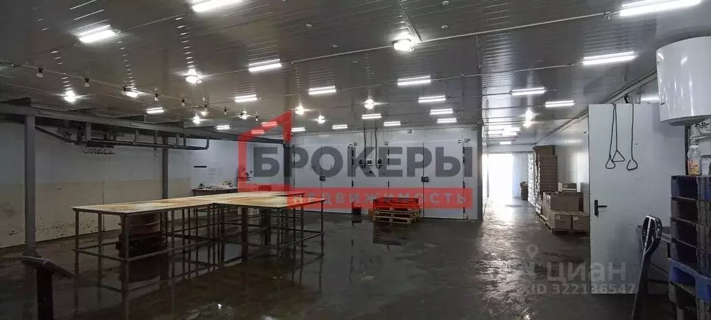 Помещение свободного назначения в Севастополь ул. Паршина, 11А (531 м) - Фото 1