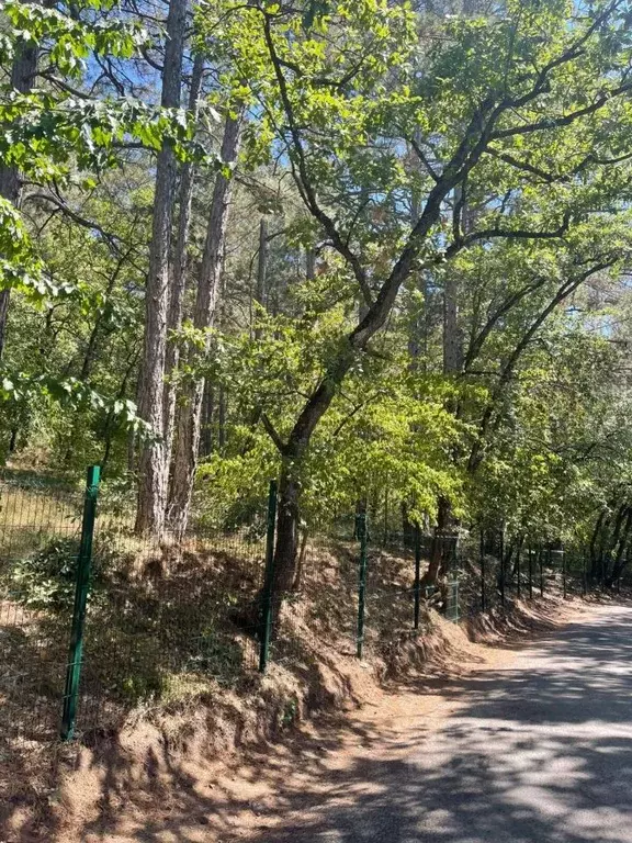 Участок в Крым, Ялта муниципальный округ, Массандра пгт ул. 16 Апреля ... - Фото 1