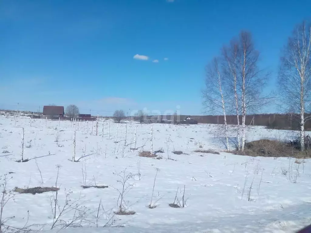 участок в нижегородская область, дальнеконстантиновский муниципальный . - Фото 1