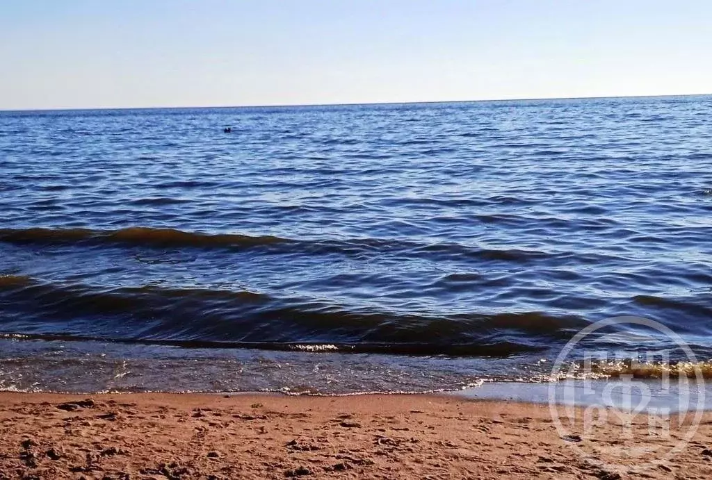 Участок в Санкт-Петербург, Санкт-Петербург, Сестрорецк Парковая ул., ... - Фото 1