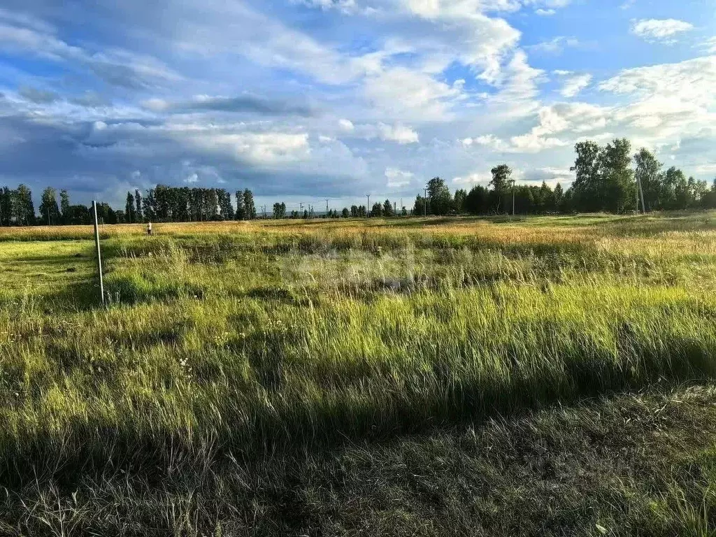 Участок в Татарстан, Тукаевский район, Малошильнинское с/пос, с. ... - Фото 2