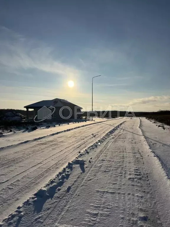 Участок в Тюменская область, Тюменский район, Новокаменский кп ул. ... - Фото 0