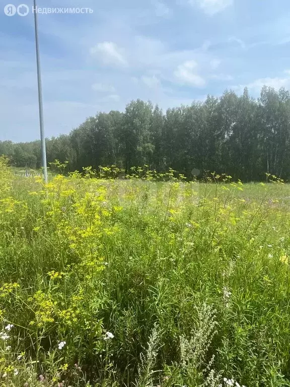Участок в Тюменская область, Ялуторовский муниципальный округ, ... - Фото 2