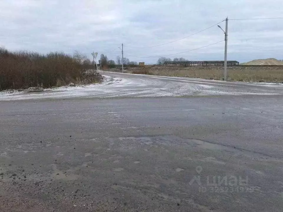 Участок в Псковская область, Псковский район, Тямшанская волость, д. ... - Фото 2