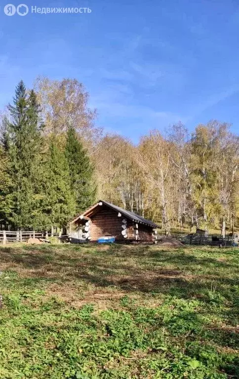 Участок в село Макарово, Лесная улица (45 м) - Фото 2