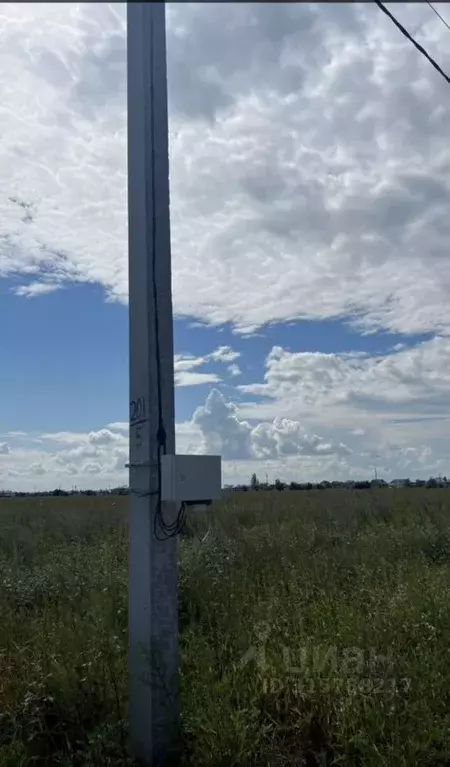 Участок в Самарская область, Ставропольский район, с. Ягодное ул. ... - Фото 2