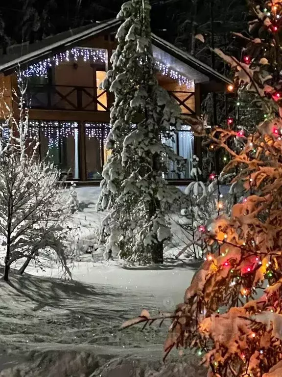 Дом в Ленинградская область, Выборгский район, Советское городское ... - Фото 2