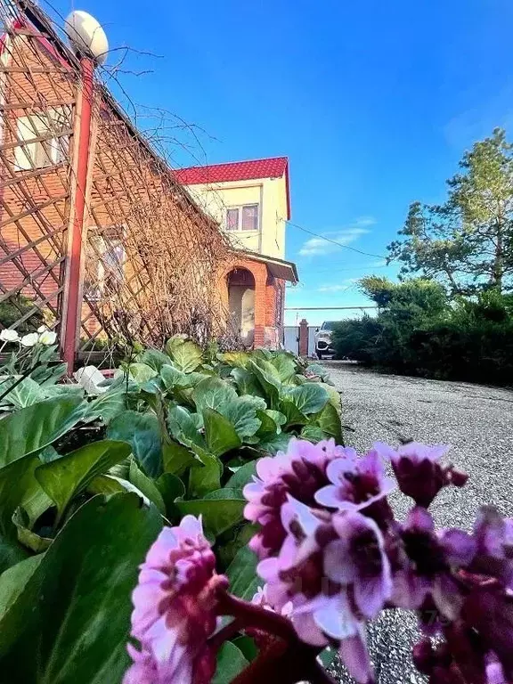 Дом в Самарская область, Кинельский район, Домашка с/пос, с. Домашка ... - Фото 0