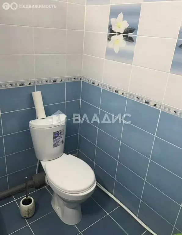 Квартира-студия: посёлок Парголово, Тихоокеанская улица, 1к1 (27.5 м) - Фото 2