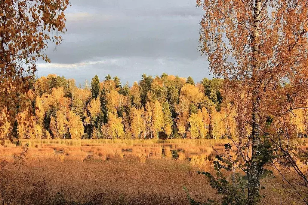 Участок в Московская область, Лобня ул. Брянско-Пролетарской Дивизии ... - Фото 1