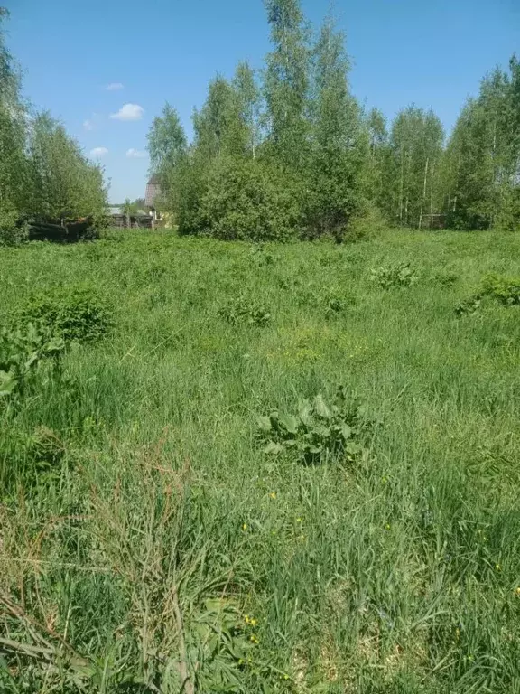 Участок в Московская область, Ступино городской округ, д. Каменищи  ... - Фото 1