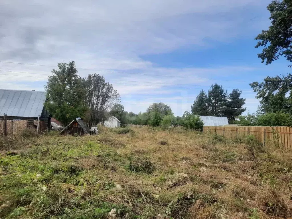 Участок в Вологодская область, Кадуйский муниципальный округ, Деревня ... - Фото 2