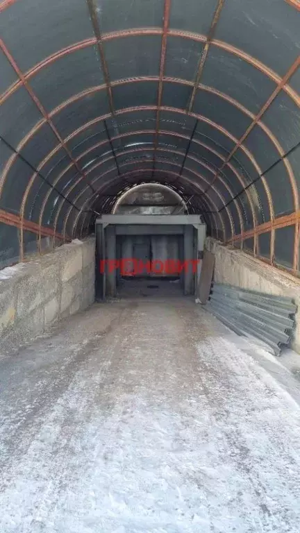 Помещение свободного назначения в Новосибирская область, Новосибирск ... - Фото 1