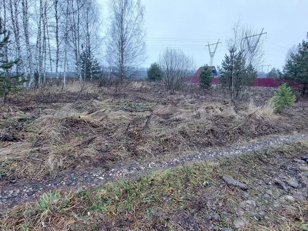 Участок в Московская область, Богородский городской округ, Зорька СНТ ... - Фото 1
