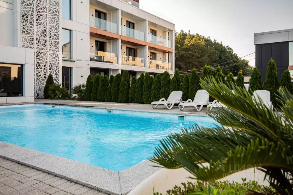 1-к кв. Краснодарский край, Сочи ул. Яна Фабрициуса, 64 (45.0 м) - Фото 1