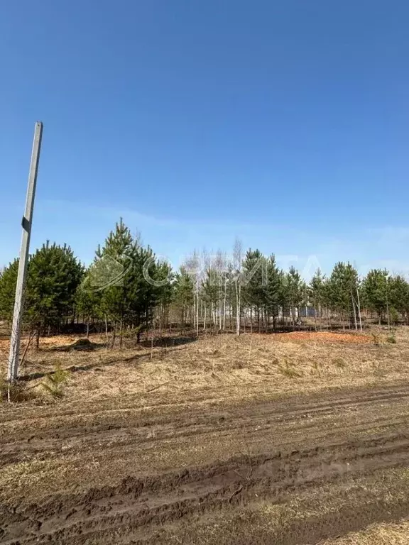 Участок в Тюменская область, Нижнетавдинский муниципальный округ, д. ... - Фото 0