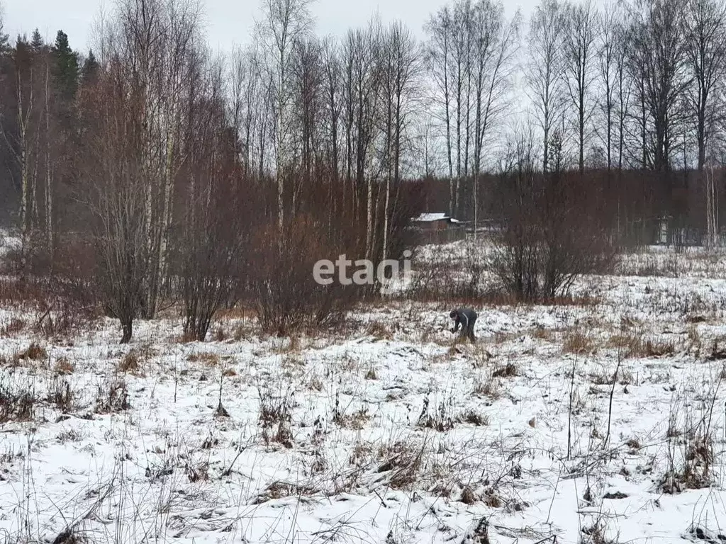Участок в Ленинградская область, Выборгский район, Советское городское ... - Фото 1