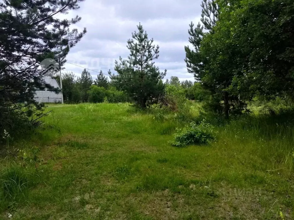 Участок в Чувашия, Чебоксары городской округ, Сосновка пгт  (4.0 сот.) - Фото 1